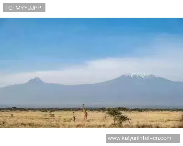 咯山与格罗兹尼的较量揭示了足球战术与团队协作的重要性 咯山与格罗兹尼的较量揭示了足球战术与团队协作的重要性