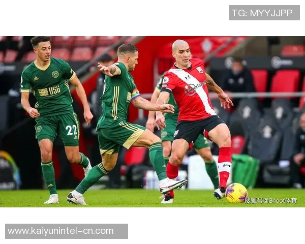 布莱顿主场迎战谢菲尔德联队期待精彩对决与激烈竞争